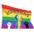 דגל גאווה ענק - Love is Love