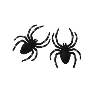 זוג עכבישים מפחידים להלוואין
