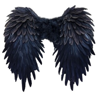 כנפי מלאך עשירות 46x43 ס״מ - שחור