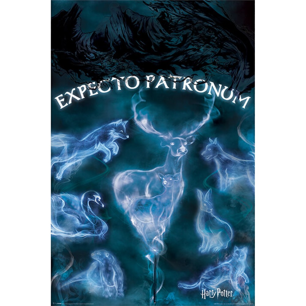 פוסטר EXPECTO PATRONUM