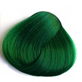 גווני ירוק לשיער