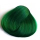 צבע ירוק תפוח - APPLE GREEN צבע ירוק תפוח - APPLE GREEN