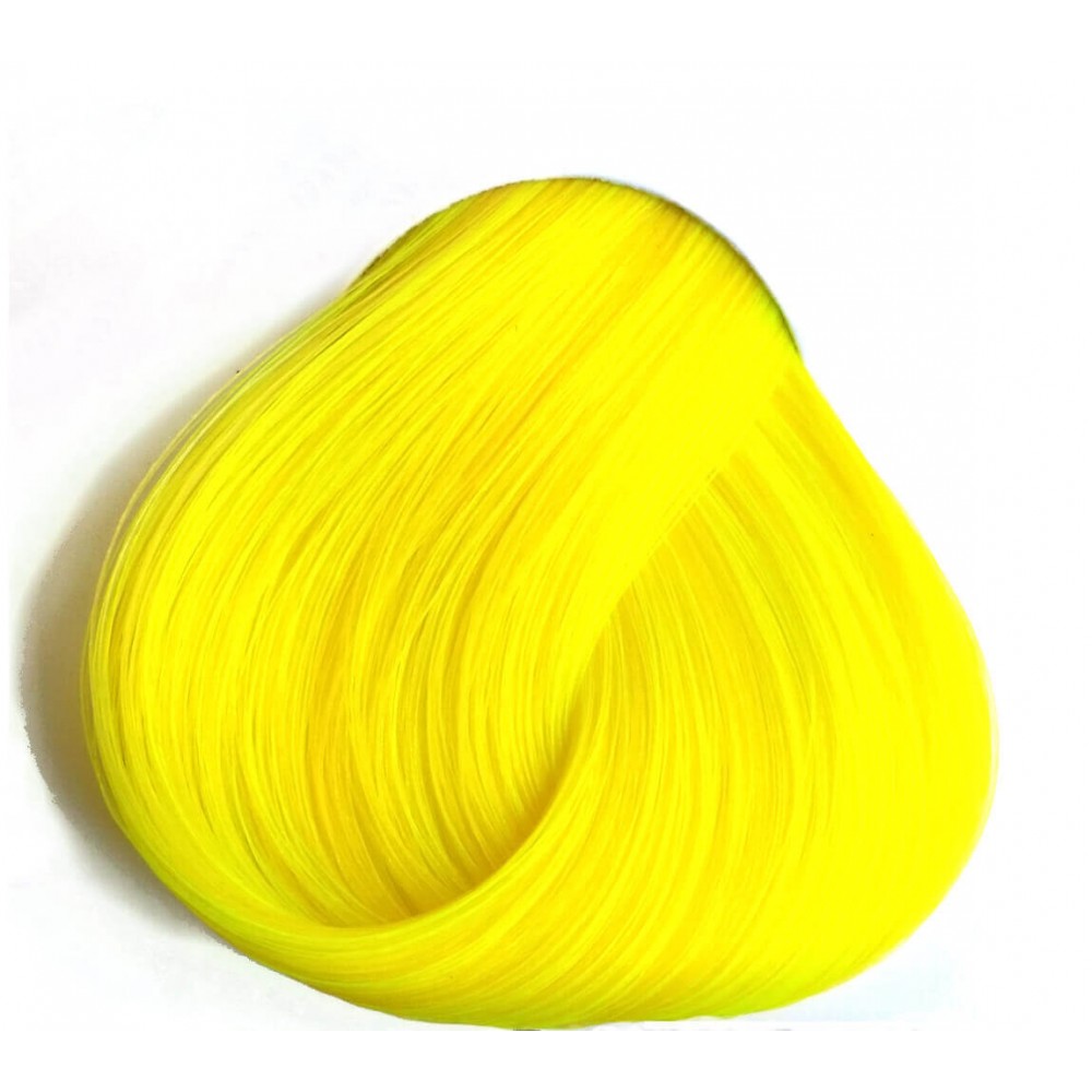 צהוב זועק - BRIGHT DAFFODIL צהוב זועק - BRIGHT DAFFODIL