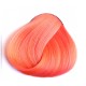 צבע ורוד פסטל - PASTEL PINK צבע ורוד פסטל - PASTEL PINK
