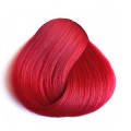 גווני אדום לשיער