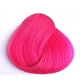 צבע ורוד ציפורן - CARNATION PINK צבע ורוד ציפורן - CARNATION PINK