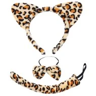 סט אביזרי נמר סט אביזרי נמר