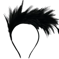 קשת נוצות בצבע שחור