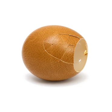 סקווישי ביצה קראנצ'ית