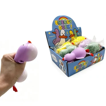 סקווישי ברווז צבעוני