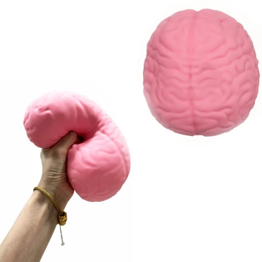 סקווישי מוח ענק
