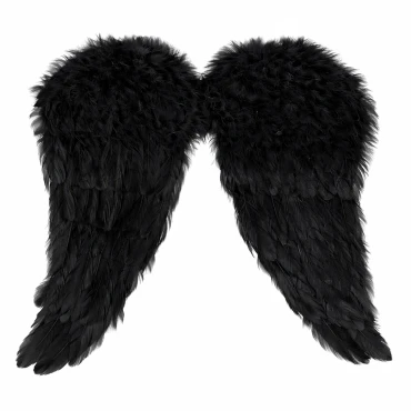 כנפי מלאך מרשימות 45x50 ס״מ - שחור