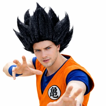 פאת דרגון בול - גוקו