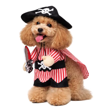 תחפושת שודד ים לכלבים