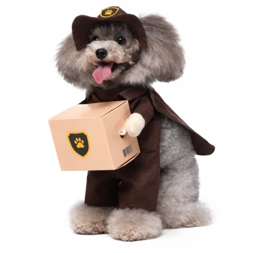 תחפושת שליח לכלבים