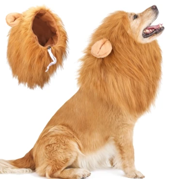 תחפושת אריה לכלבים