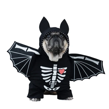 תחפושת עטלף לכלבים