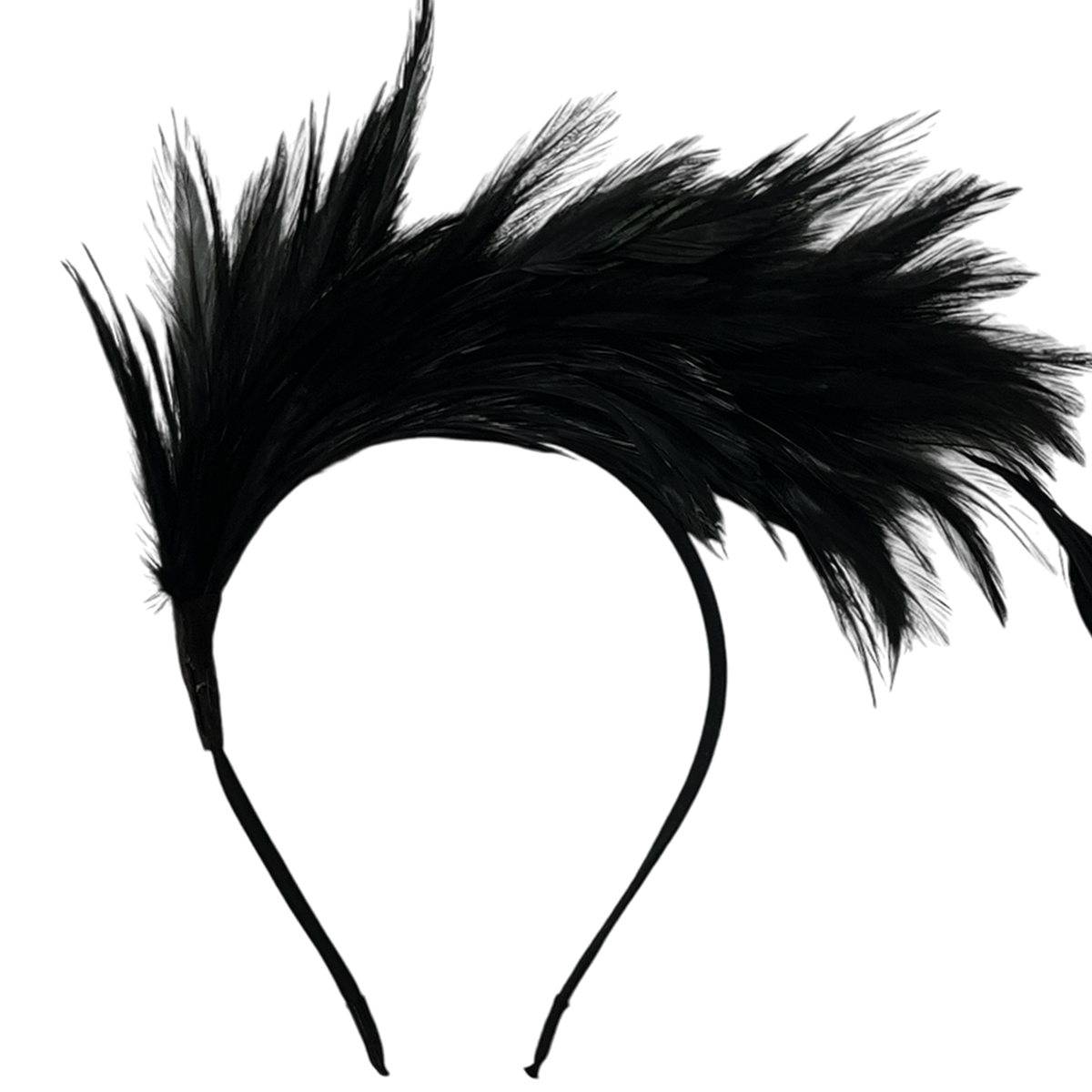 קשת נוצות בצבע שחור