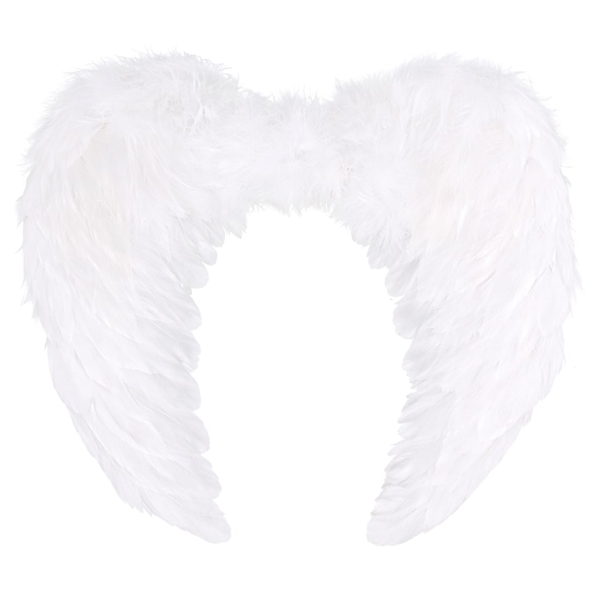 כנפי מלאך נוצות לבנות גדולות