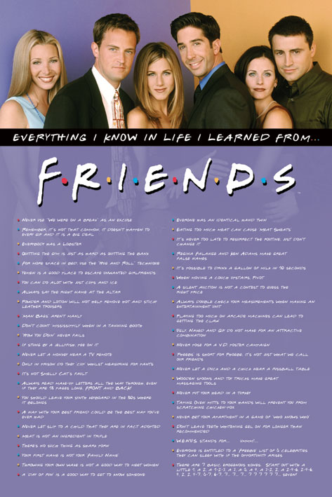 פוסטר חברים EVERYTHING I KNOW פוסטר חברים EVERYTHING I KNOW