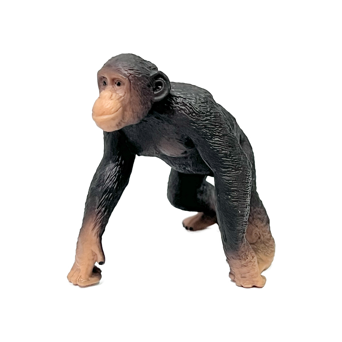 פסלון שימפנזה פסלון שימפנזה